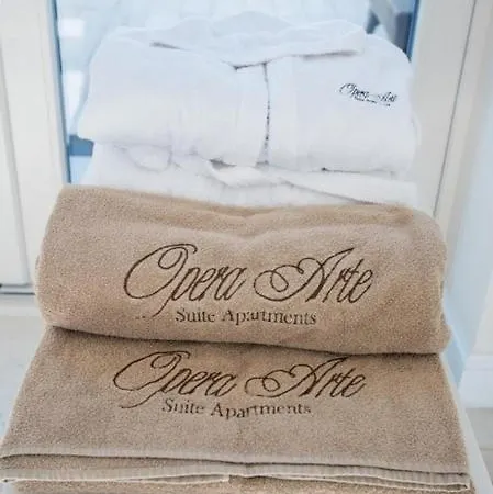 Opera Arte 招待所 4*